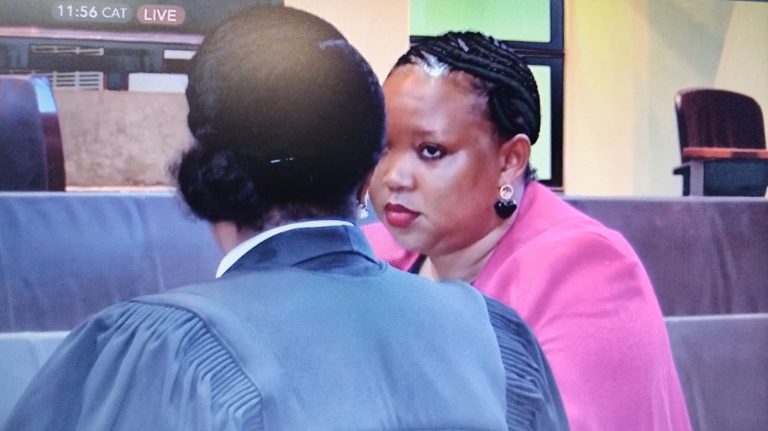 Constitutional Court rules only the Executive may authorise extradition requests