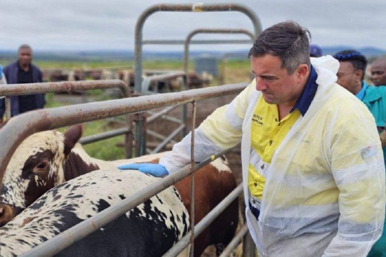 Court rejects government’s effort to stop private Foot and Mouth Disease vaccinations
