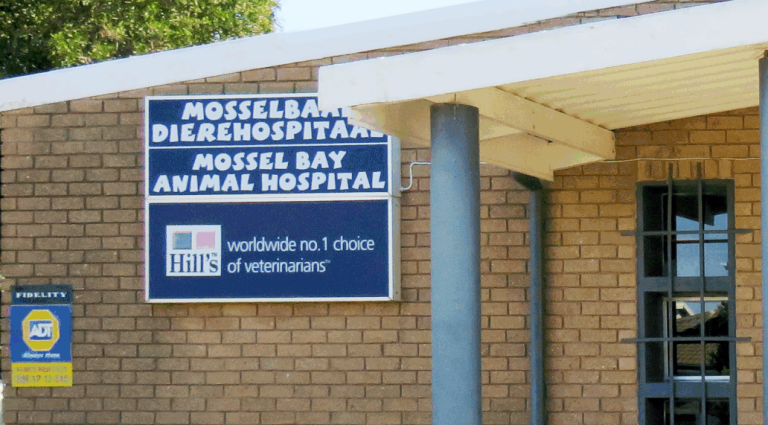 Large animal client connections at heart of Mossel Bay vet’s restraint of trade drama