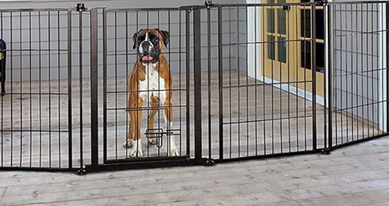Man ignored warnings, put his head over neighbour’s wall and lost King dog bite lawsuit Daniel Cebo Bottoman’s dog bite dispute with neighbours Nizaam and Shiyaam Rossie was decided by the High Court in the Western Cape.