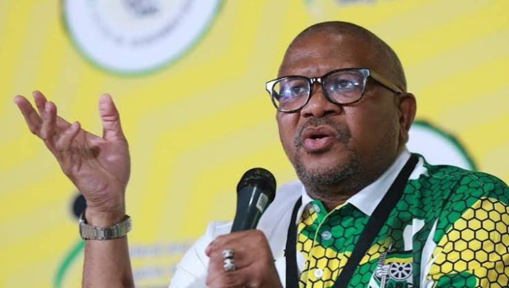 ANC loses election appeal after failing to finalise candidate nominations; takes battle to apex court Constitutional Court application filed by ANC Secretary-General Fikile Mbalula.