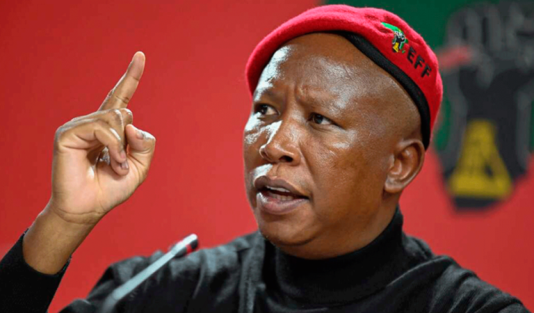 Malema ethics code judgment sets new standards for parliamentary accountability