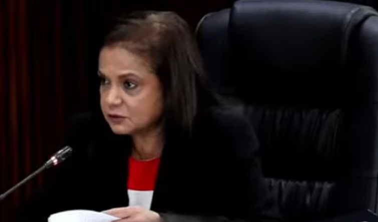 Batohi cannot meddle with enquiry procedures after abandoning testimony, panel rules