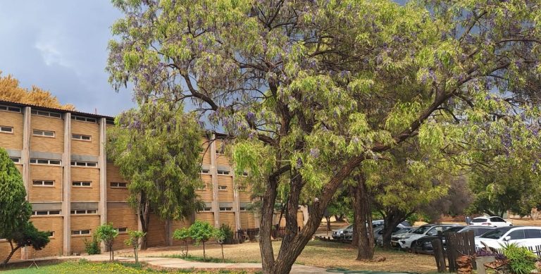 Court keeps 78 English medium learners at Afrikaans school in Swartruggens