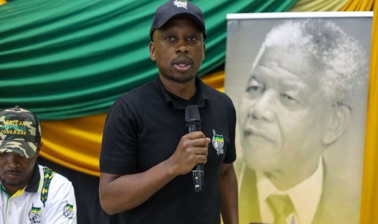 ANC rules did not allow Mbalula to remove Andile Lungisa from candidate list, judge finds Andile Lungisa, whose removal from the ANC’s Nelson Mandela Bay candidate list was declared unlawful by the High Court in Johannesburg.
