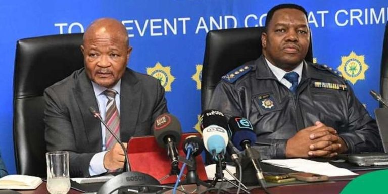 Police Minister Senzo Mchunu and National Commissioner General Fannie Masemola at a media briefing.