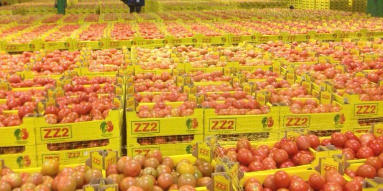 ZZ2 fights alleged illegal land use on municipal land next to its Polokwane farm ZZ2 farming operation next to municipal land involved in a dispute over alleged unlawful activities